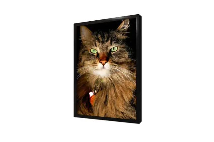Kedi | Kanvas Tablo | Cam Tablo | Mdf Tablo | A32226 - Görsel 4