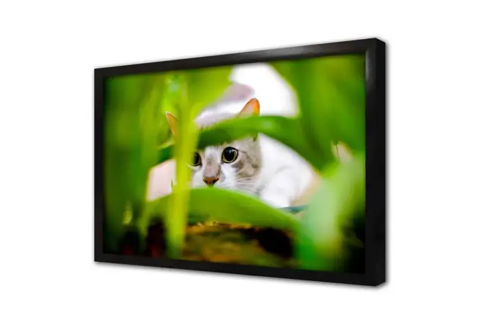 Kedi | Kanvas Tablo | Cam Tablo | Mdf Tablo | A32227 - Görsel 4