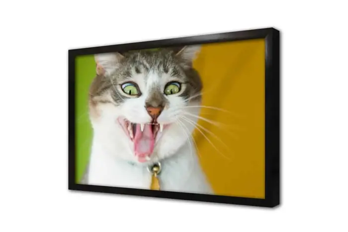 Kedi | Kanvas Tablo | Cam Tablo | Mdf Tablo | A32228 - Görsel 4
