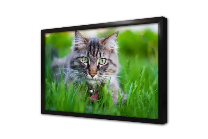 Kedi | Kanvas Tablo | Cam Tablo | Mdf Tablo | A32229 - Görsel 4