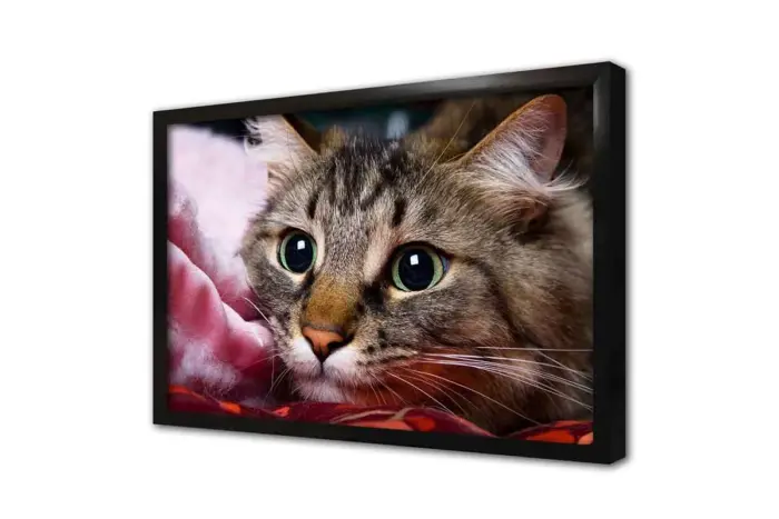 Kedi | Kanvas Tablo | Cam Tablo | Mdf Tablo | A32230 - Görsel 4