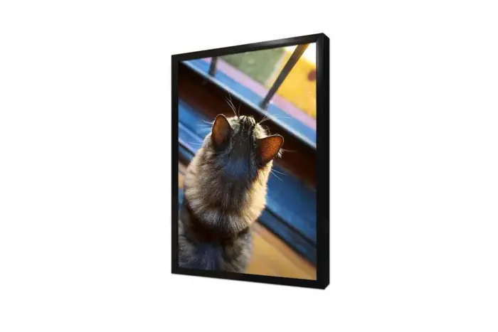 Kedi | Kanvas Tablo | Cam Tablo | Mdf Tablo | A32232 - Görsel 4