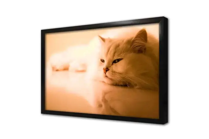 Kedi | Kanvas Tablo | Cam Tablo | Mdf Tablo | A32233 - Görsel 4