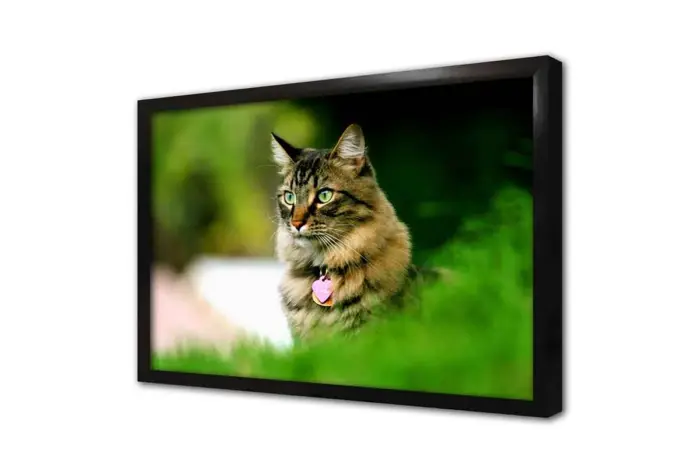 Kedi | Kanvas Tablo | Cam Tablo | Mdf Tablo | A32235 - Görsel 4
