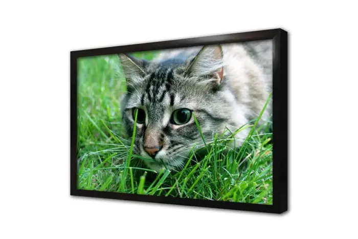 Kedi | Kanvas Tablo | Cam Tablo | Mdf Tablo | A32237 - Görsel 4