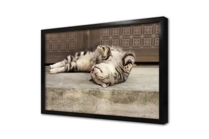Kedi | Kanvas Tablo | Cam Tablo | Mdf Tablo | A32241 - Görsel 4