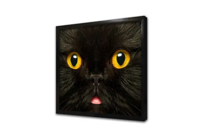 Kedi | Kanvas Tablo | Cam Tablo | Mdf Tablo | A32275 - Görsel 4