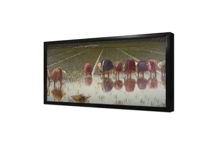 Pirinç Eken Kadınlar | Kanvas Tablo | Cam Tablo | Mdf Tablo | B02179 - Görsel 4