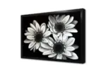 Siyah Beyaz Çiçek | Kanvas Tablo | Cam Tablo | Mdf Tablo | B03007 - Görsel 4