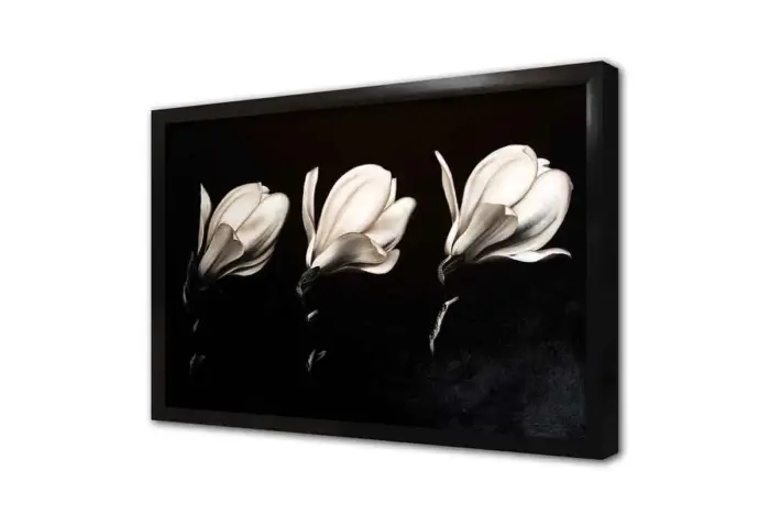 Siyah Beyaz Çiçek | Kanvas Tablo | Cam Tablo | Mdf Tablo | B03008 - Görsel 4