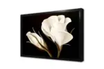 Siyah Beyaz Çiçek | Kanvas Tablo | Cam Tablo | Mdf Tablo | B03026 - Görsel 4