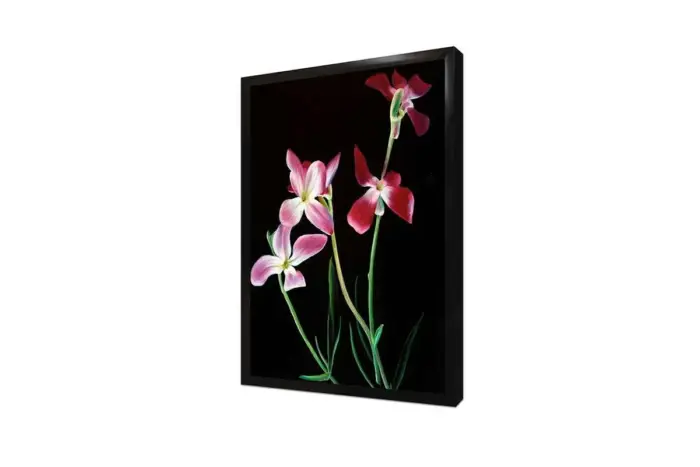 Pembe Çiçek | Kanvas Tablo | Cam Tablo | Mdf Tablo | B03053 - Görsel 4