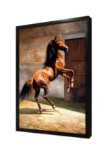 Zıplayan At | Kanvas Tablo | Cam Tablo | Mdf Tablo | B15014 - Görsel 4