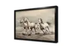 Koşan Dörtlü Beyaz At | Kanvas Tablo | Cam Tablo | Mdf Tablo | B15089 - Görsel 4