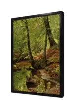 Yeşil Doğa Ve Gölet | Kanvas Tablo | Cam Tablo | Mdf Tablo | B17041 - Görsel 4