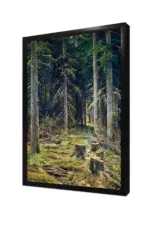 Orman | Kanvas Tablo | Cam Tablo | Mdf Tablo | B20023 - Görsel 4