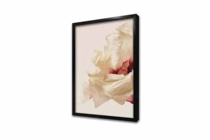 Makro Çekim Çiçek | Kanvas Tablo | Cam Tablo | Mdf Tablo | B33083 - Görsel 4