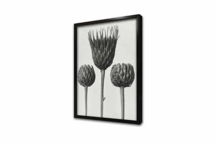 Siyah Beyaz Üçlü Çiçek | Kanvas Tablo | Cam Tablo | Mdf Tablo | B33093 - Görsel 4