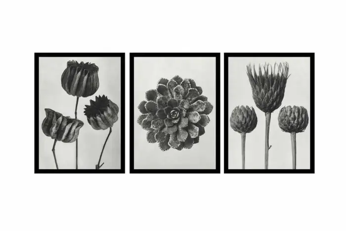Siyah Beyaz Çiçekler Üçlü Kanvas Tablo | Cam Tablo | Mdf Tablo Seti | B33139 - Görsel 12