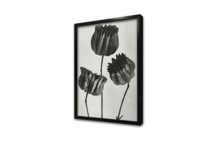 Siyah Beyaz Çiçekler Üçlü Kanvas Tablo | Cam Tablo | Mdf Tablo Seti | B33139 - Görsel 13
