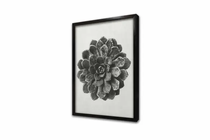 Siyah Beyaz Çiçekler Üçlü Kanvas Tablo | Cam Tablo | Mdf Tablo Seti | B33139 - Görsel 15